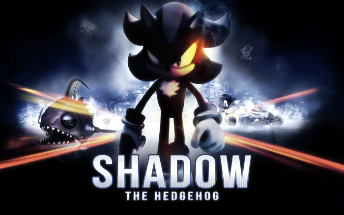 shadow the hedgehog battlefield