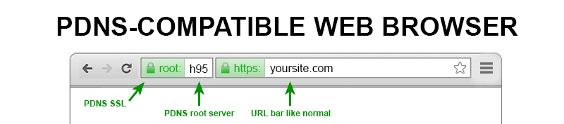pdns-compatible-web-browser