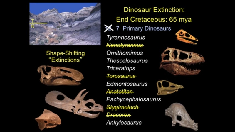 There are far fewer extinct 