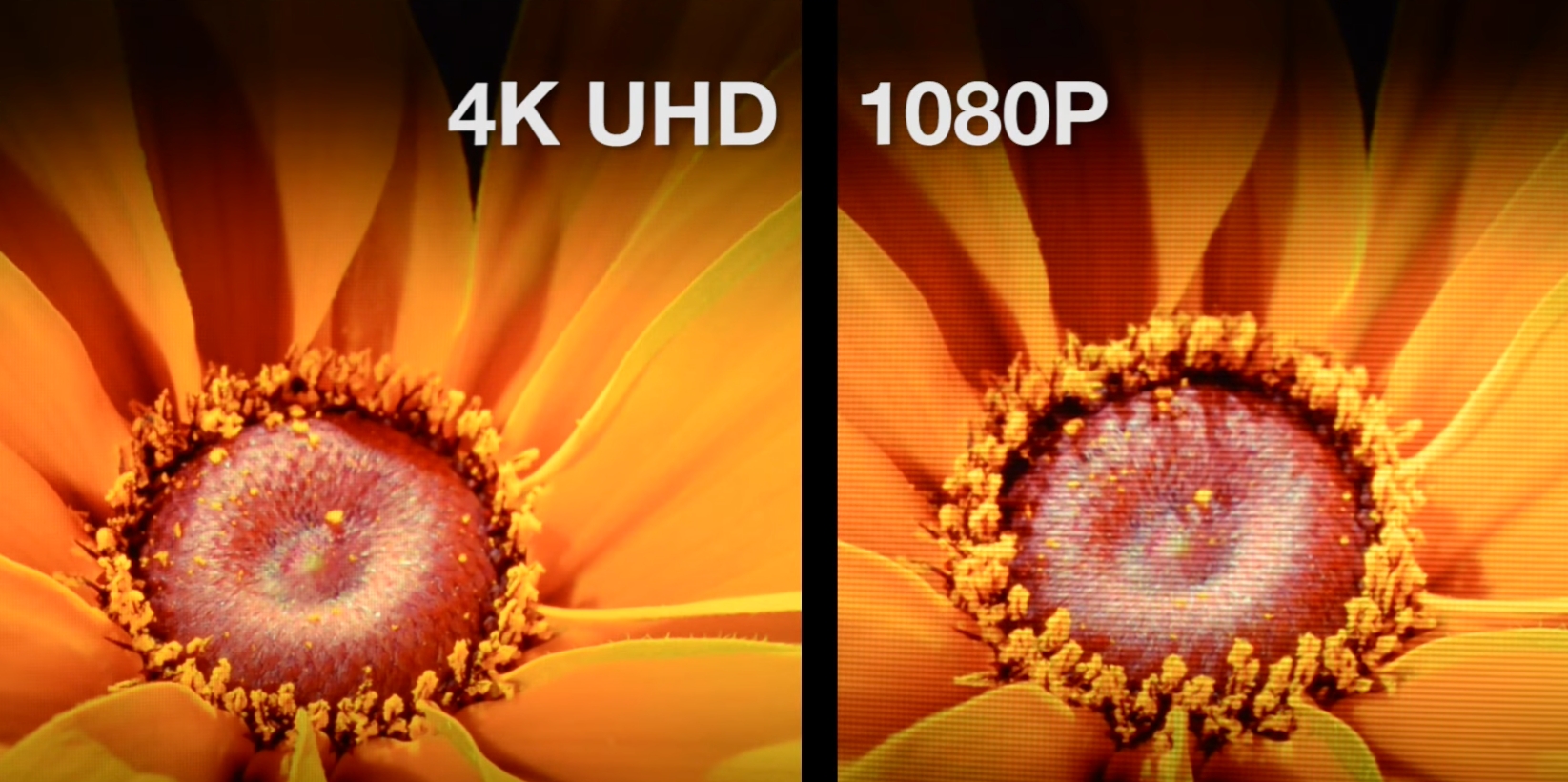 4k-vs-1080p