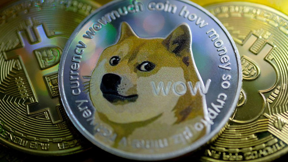 DogeCoin (DOGE)